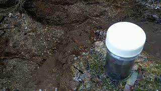 Observing creek water under the microscope with Anmol Samsuhang