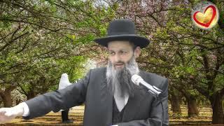 הכח של התבודדות ושיחה בשדה עם השם יתברך