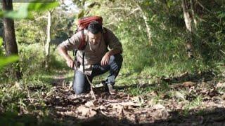 Build a Wood Survival Shelter in the Wilderness | Bushcraft & Campfire Grilled Fish