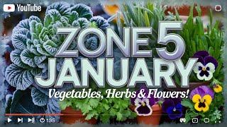 January Gardening in Zone 5: Cold-Hardy Vegetables, Herbs & Flowers! 