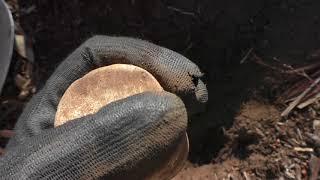 Metal Detecting Relics April 2018