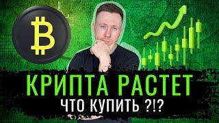 Булран на рынке криптовалют! Что купить, чтобы заработать и как бороться с ФОМО?