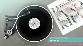 PAX JAPONICA GROOVE - Avalanche