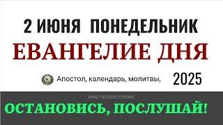 2 июня понедельник Евангелие дня 2025 с толкованием