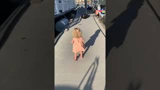 A sea lion meets a child  I Funny Videos