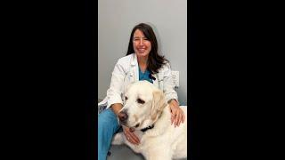 Massage your Dog with Dr. Leilani Alvarez