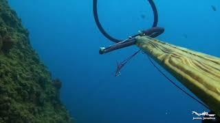 Mordus Spearfishing - Session CSM Jordan et Jonathan 28 juillet 21 - Mérou, poulpes, Sars, Murène