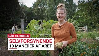 Råd til krisen - Køkkenhave