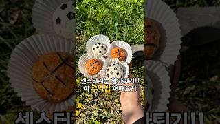 센스터지는 엄마되기! 이 주먹밥 어때요?!