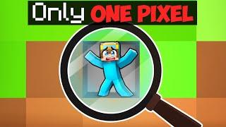 Trapped in ONE PIXEL in Minecraft!
