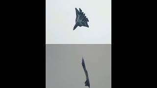 Maneuver Su-57 Kvochur Bell and Cobra