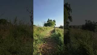 Head gate from the last century   4K #floodirrigation #headgates #ancienttechnology  #reservoirs