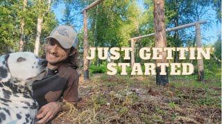 Using the Land to Build a Log Framed Firewood Shelter - Off Grid in Alaska┃EP5┃Just Gettin' Started