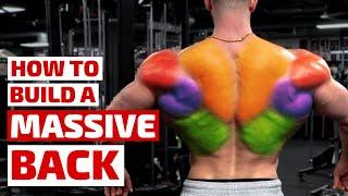 Your Perfect Back Workout - Massive Results