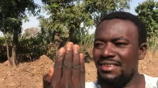 Getting free land in Ghana with less or no money