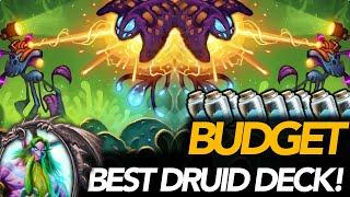 Best Budget Druid Deck! | SPELL Druid | Ashes Of Outland | Hearthstone