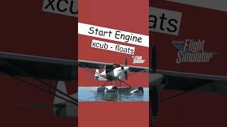 Who starts engine XCUB FLOATS