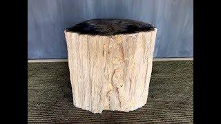 Indonesian Petrified Wood for sale