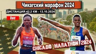 ЧИКАГСКИЙ МАРАФОН 2024 || Chicago Marathon. Прямой эфир из США 13.10.2024