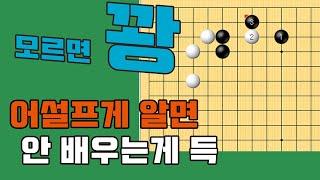 [바둑랩강좌 실전침입] 어설프게 알면 안 배우는게 득인 경우