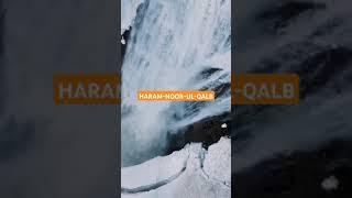 haram-noor-ul-qalb #islamicvideos #qurantilawat #quran