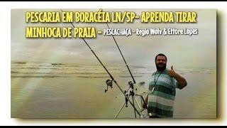 APRENDA COMO TIRAR MINHOCA DE PRAIA/ISCA NATURAL - PESCARIA EM BORACÉIA LN/SP