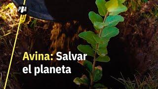 Avina: la ONG que puede salvar al planeta con cadenas de acción