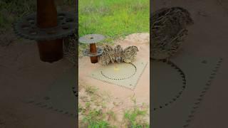 Amazing Quail Trap Technique Working Good Using Paper #shorts #shortvideo