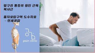 옆구리 통증 원인 근육 복사근 - 시청역 도수치료