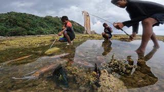 Dumagsa ang mga Ganitong Isda sa Hibasan Catch & cook