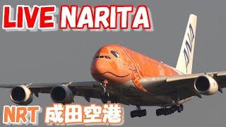 LIVE at NARITA International Airport Plane Spotting　2024.10.14 成田空港ライブカメラ 成田空港　NRT/RJAA