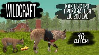 WildCraft/Как быстро прокачаться до 200 уровня за 10 дней/How to quickly upgrade to level 200