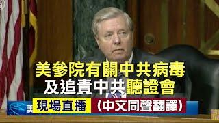【重播】美參院有關中共病毒及對中共追責聽證會（2）（同聲翻譯）