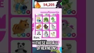 30 neon pets ADOPT ME! 🩵 I asked this girl if i could see her 30 neon pets and she sad YES 