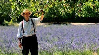 Monty Don's French Gardens 3 - The Artistic Garden (2012)