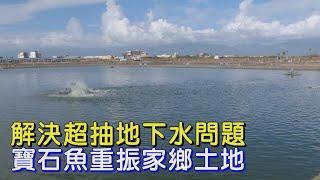 【屏東】推廣寶石魚遇死亡車禍 他奇蹟重生願鼓勵更多養殖人.創造共好∣一步一腳印【回鄉接手寶石魚挑戰】20250615