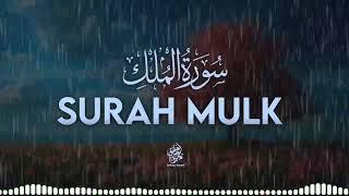 2 Powerful Surah’s | Surah Rehman | surah Mulk | saddique Ameen | Quran For all| #shortsvideo #quran