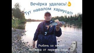 Вечерка удалась!! Терпение залог успеха!!! рыбалка на хариуса, попали на жор. Рыбалка 2023.