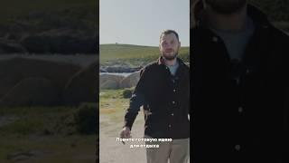 Ловите готовую идею для досуга с друзьями в Кейптауне #юар #travel