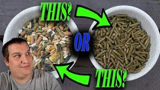 What is the BEST Rabbit Pellet? | RABBIT VET