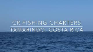 Sailfish and Marlin action, Tamarindo, Costa Rica - CR Fishing Charters