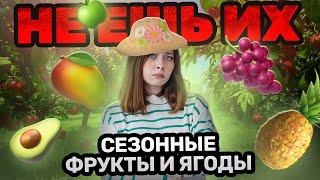 Сезонные ягоды и фрукты в чем польза и вред? | Биология ЕГЭ для 10 класса | Умскул