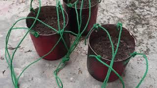 DIY Pokok Bunga Menjurai-jurai