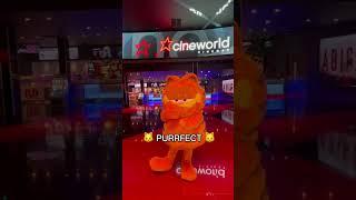 We're looking for a place with movies... #Garfield #Cineworld #Cinema #GarfieldMovie #Shorts