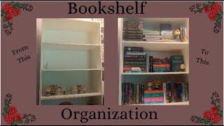 Huge Bookshelf Reorganization | 2021