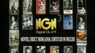 NGN and NGN 3 station IDs