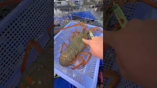 Buying MASSIVE Green Lobster