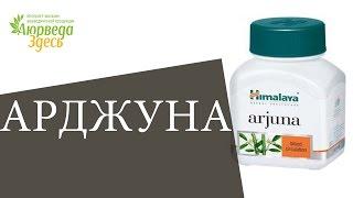 Арджуна. Аюрведа Здесь