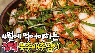 봄김치 추천! 집나간 입맛과 기력 찾아주는 부추배추김치! 마지막 봄배추김치