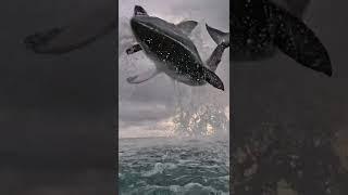 The HIGHEST JUMP Shark Attack  GREAT WHITE SHARK Attack